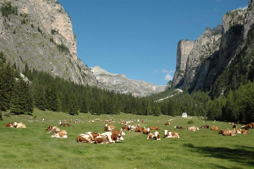 Garni Hotel Iris Selva di Val Gardena Exterior photo
